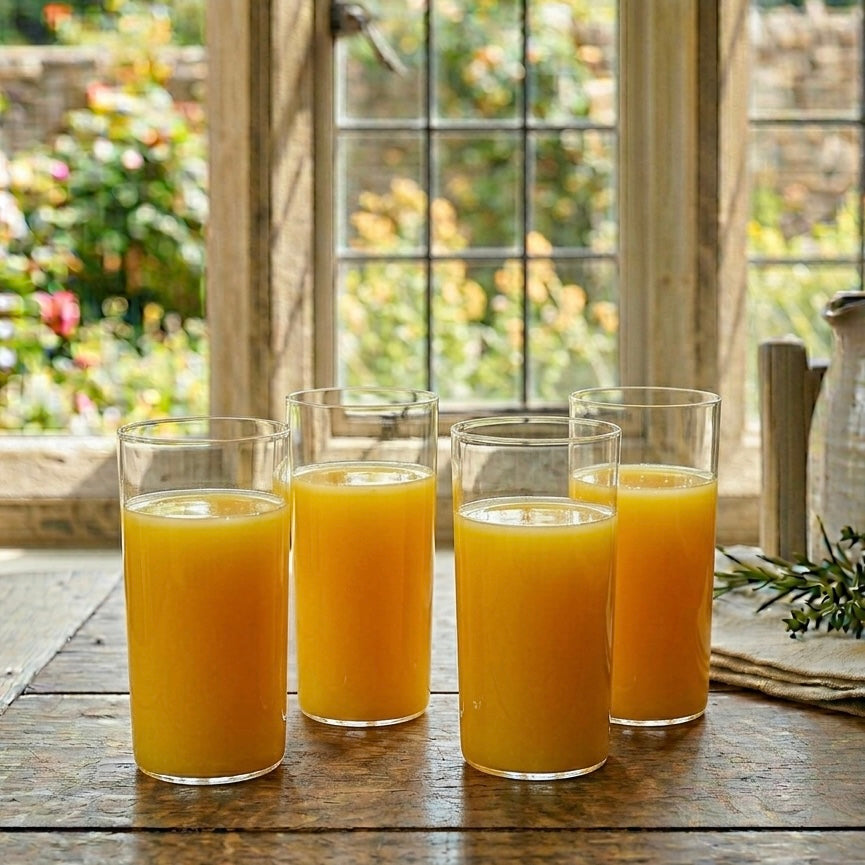 Minimalist Juice Glass (Set of 4)